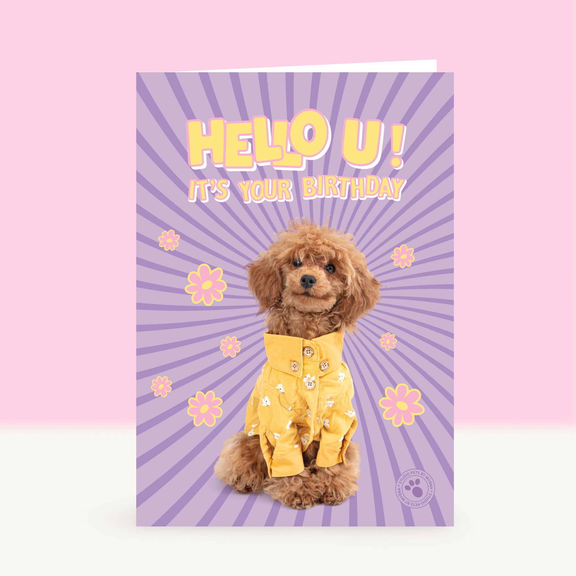 Verjaardagskaart “Hello U” met Toy Poedel puppy