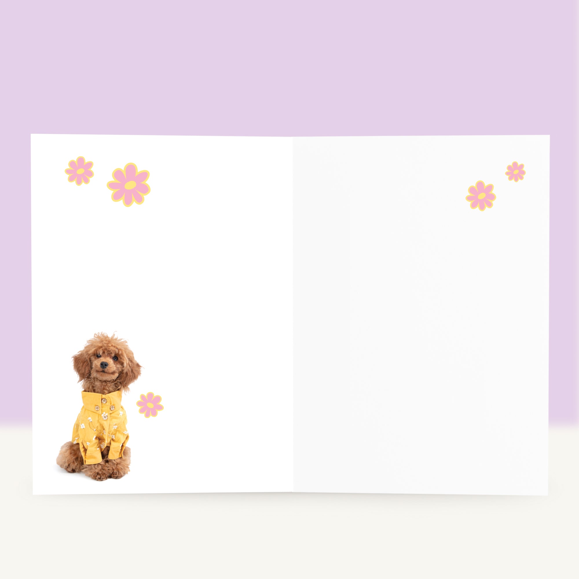 Verjaardagskaart “Hello U” met Toy Poedel puppy