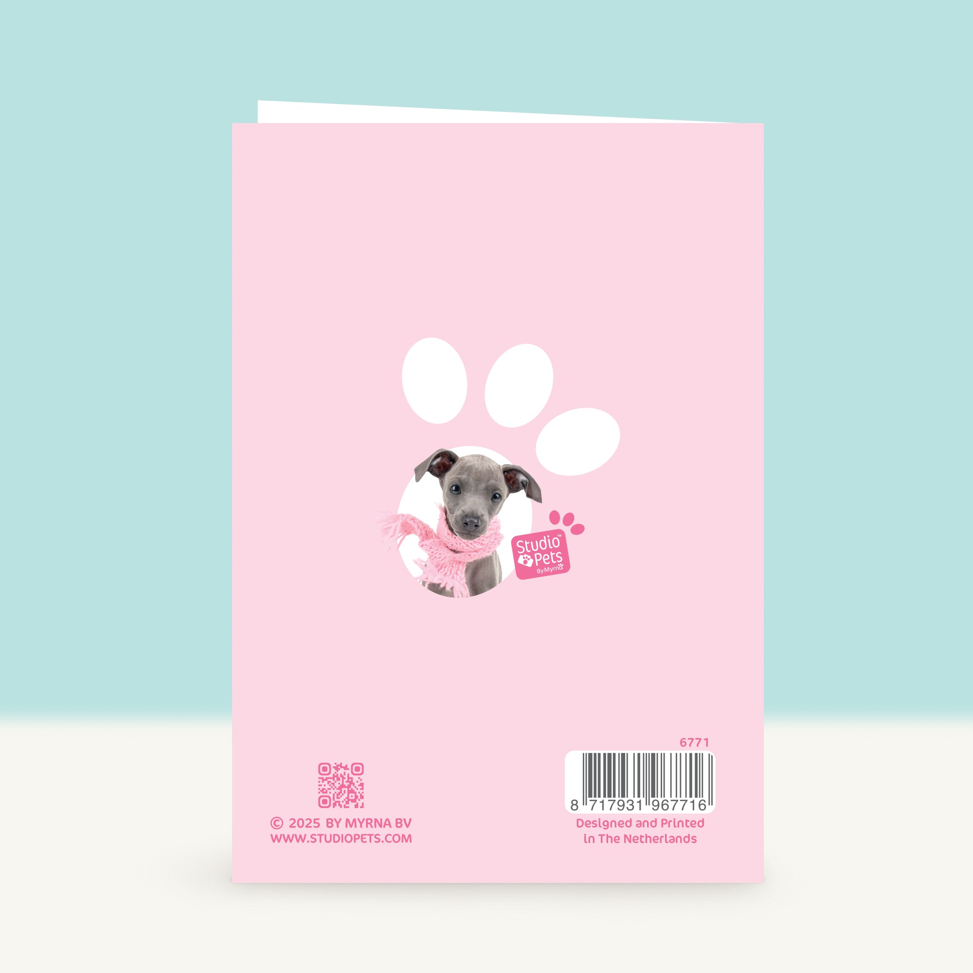 Wenskaart “Let’s Dance!” met Italiaans Windhondje puppy