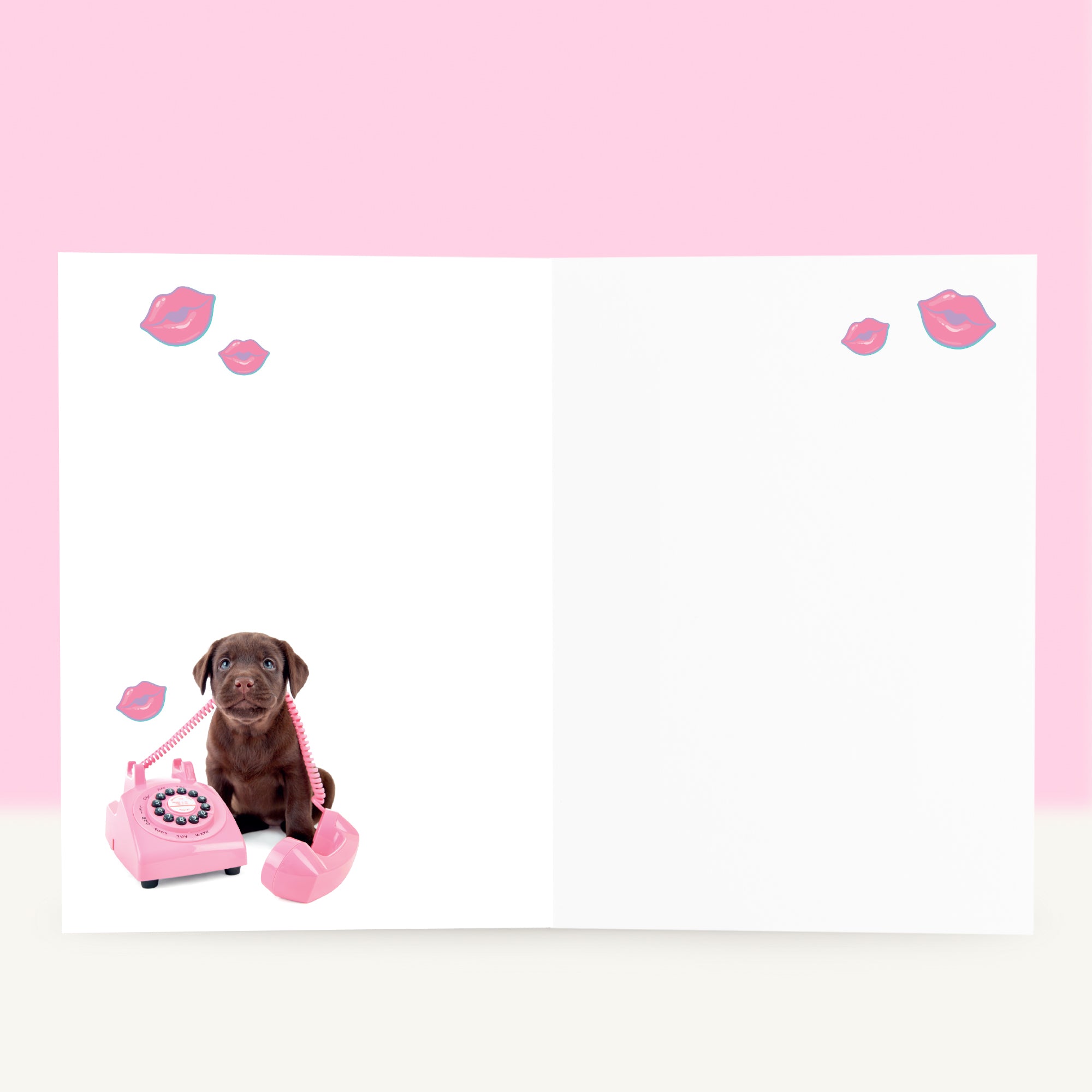 Wenskaart “Thinking of You” met de Chocolate Labrador