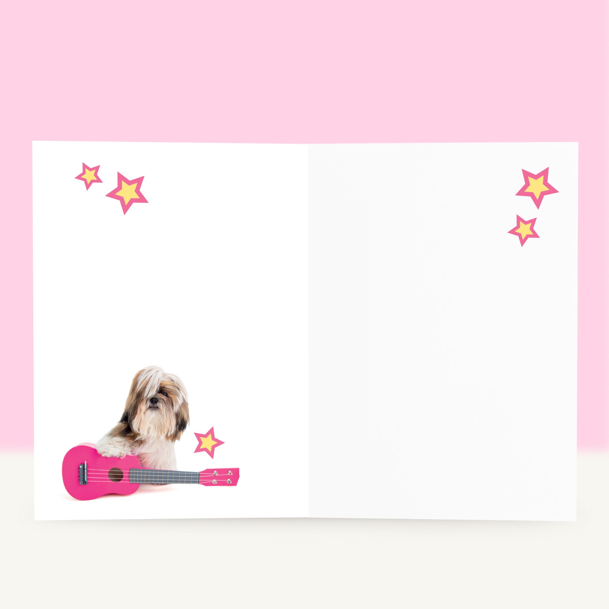 Verjaardagskaart “U Rock it’s Party Time” met de Shih Tzu puppy
