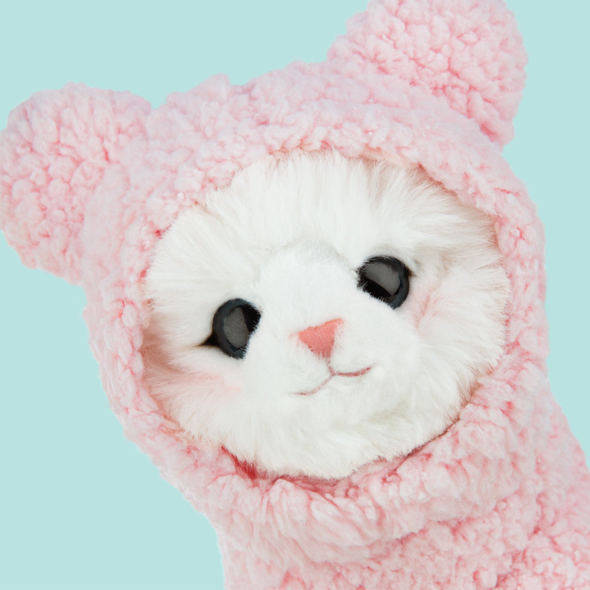 Ontmoet Mousie – Onze Ragdoll Kitten Knuffel van 16 cm