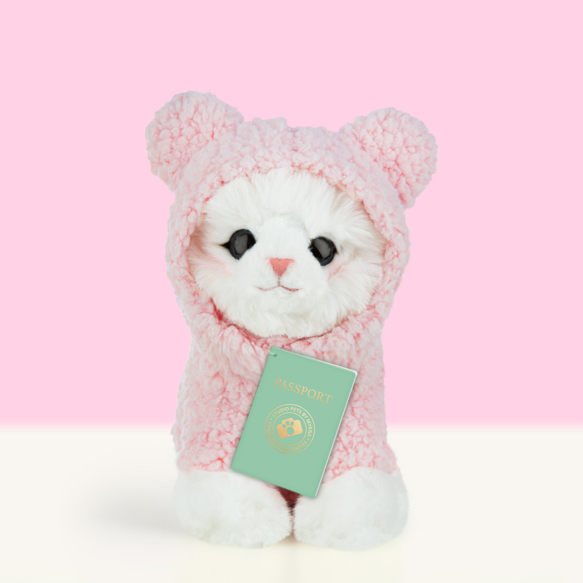 Ontmoet Mousie – Onze Ragdoll Kitten Knuffel van 16 cm