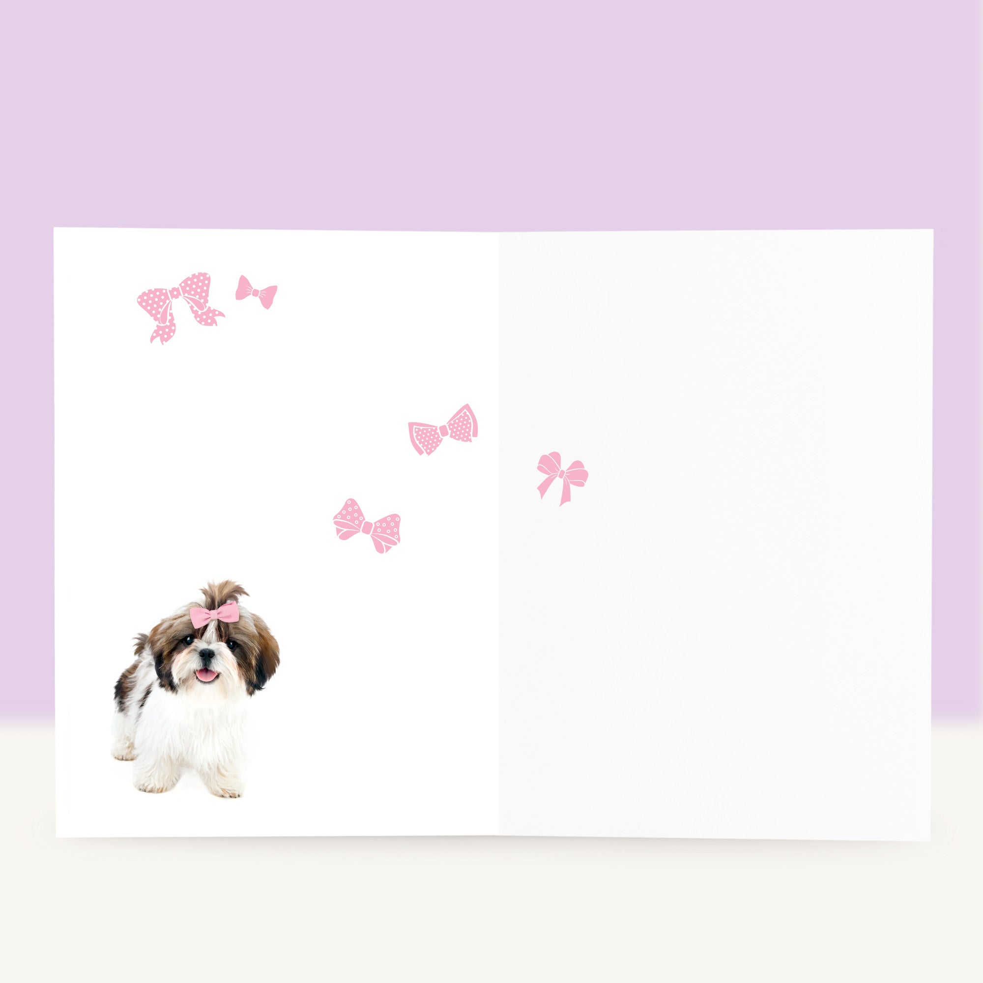 Puppy Verjaardagskaart - Sammy de Shih Tzu