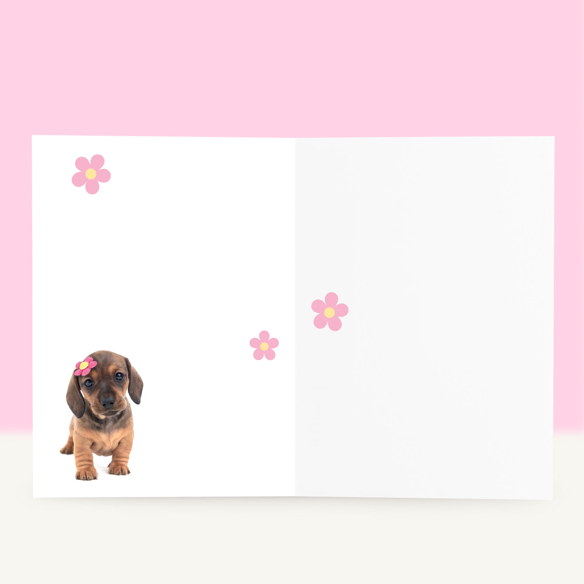 Puppy Beterschapskaart - Daisy de Teckel