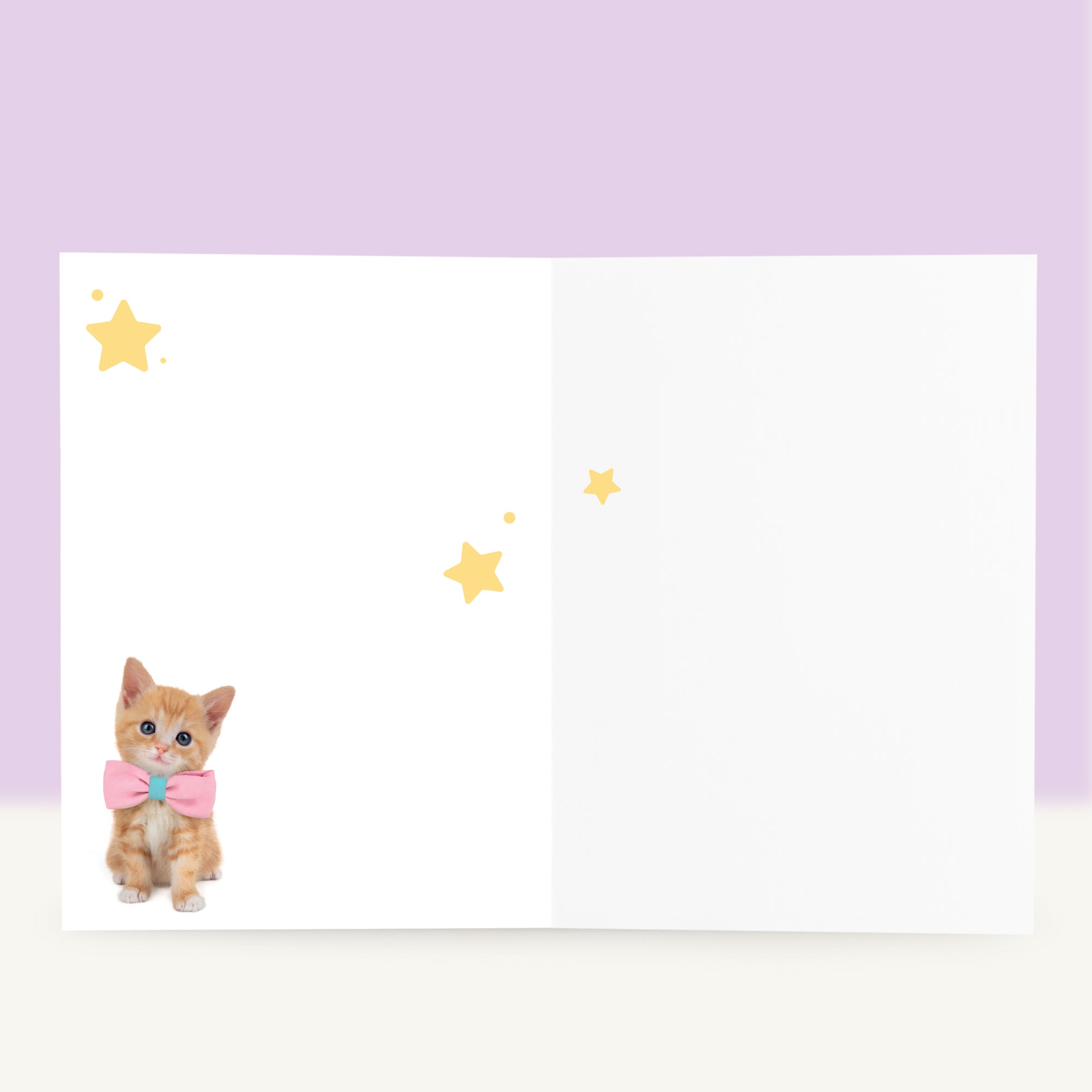 Kitten Beterschapskaart - Tommy de Rode Kitten