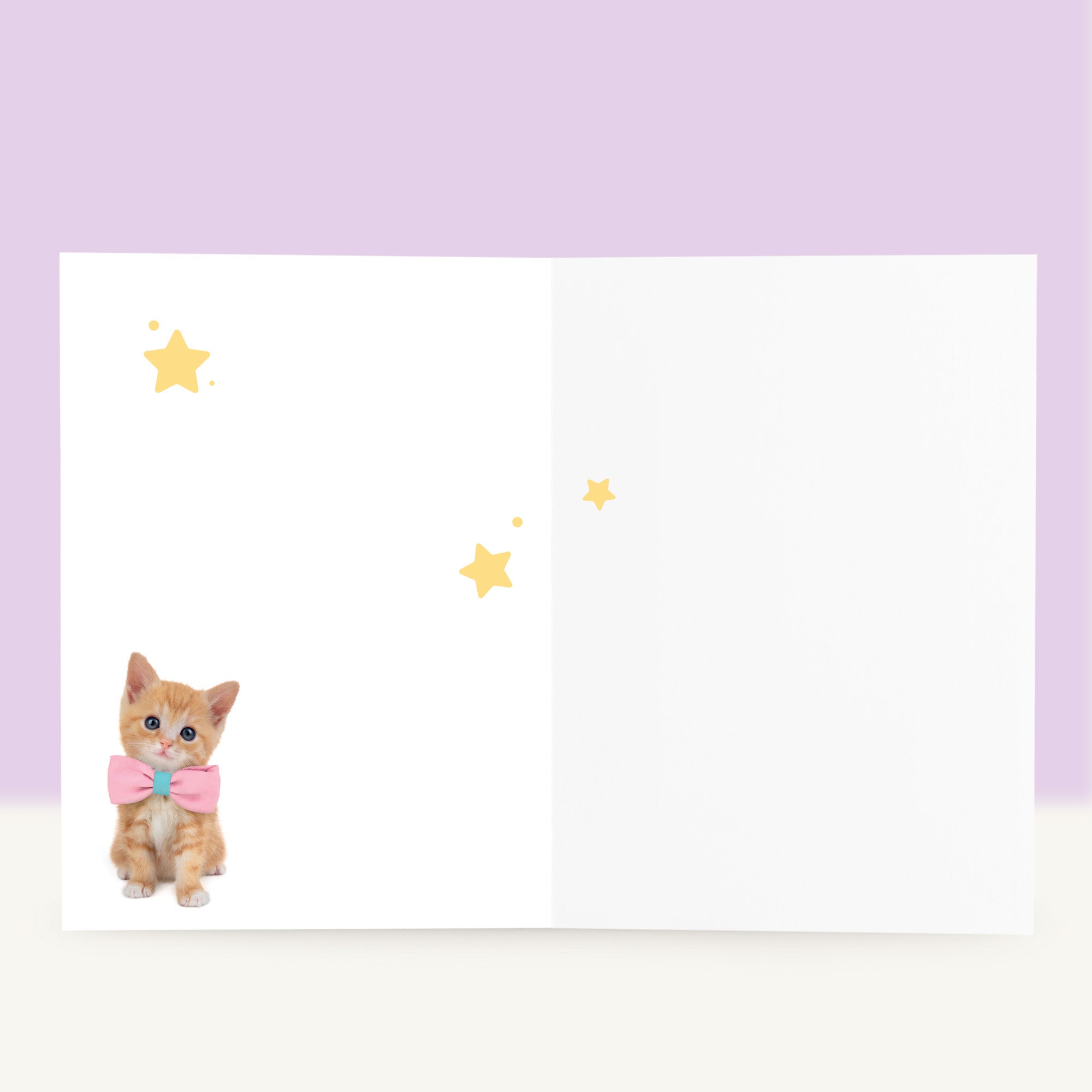 Kitten Beterschapskaart - Tommy de Rode Kitten NL