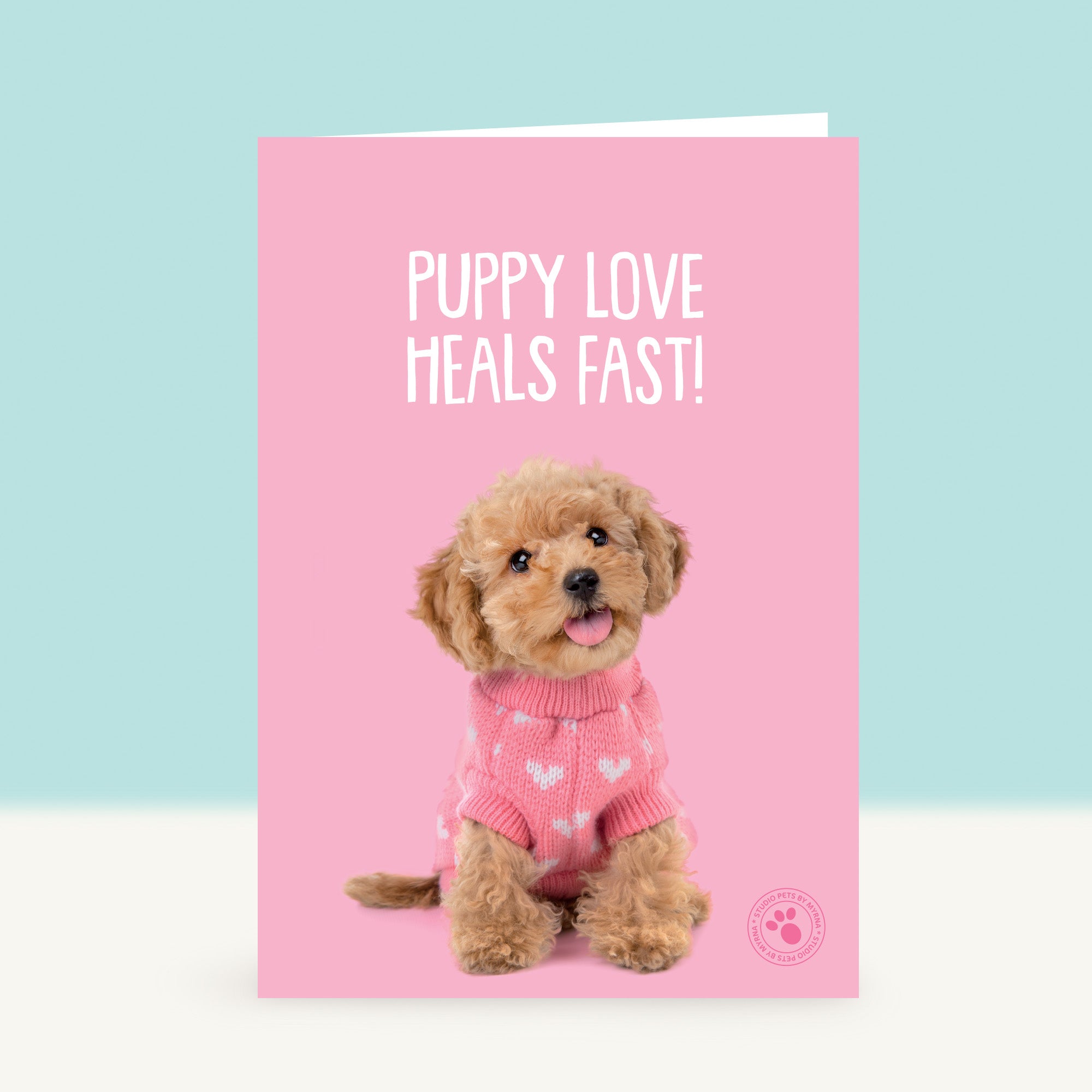 Puppy Beterschapskaart - Cookie de Toy Poedel
