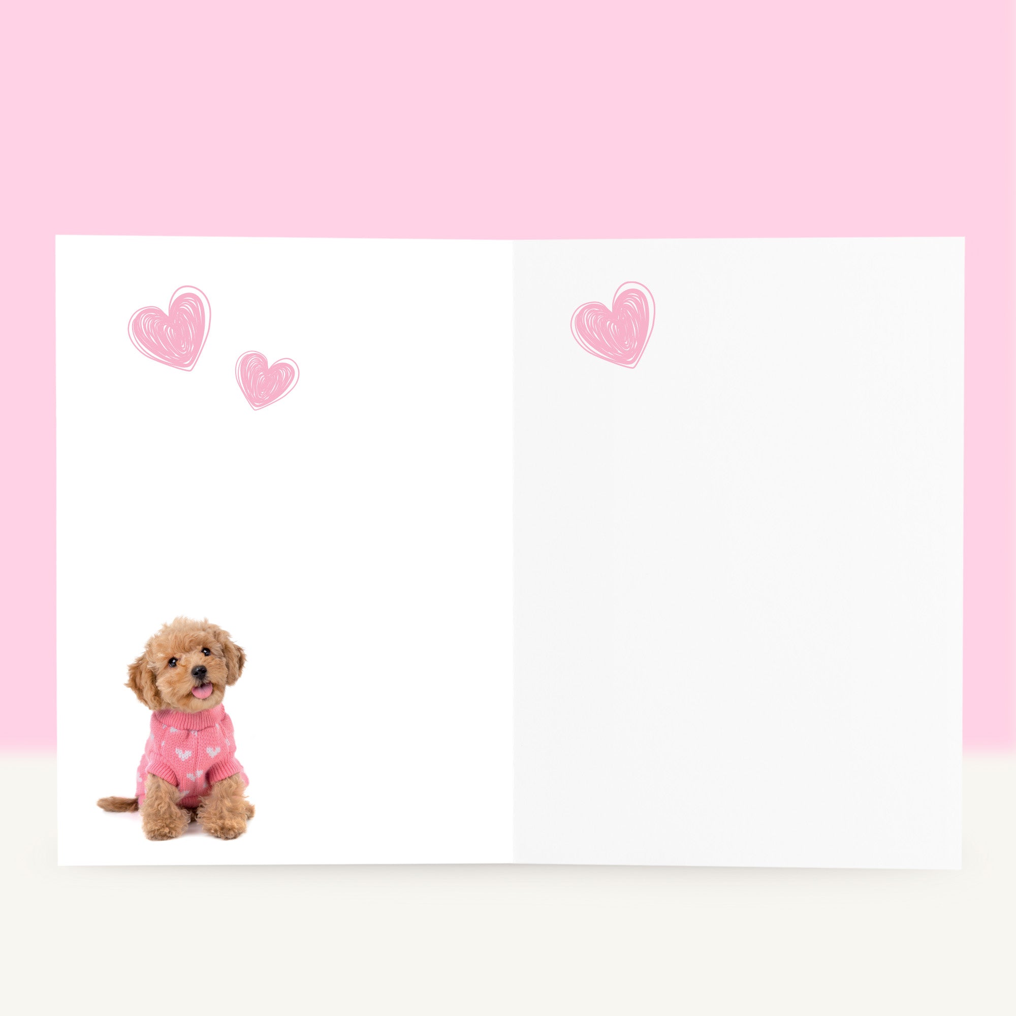 Puppy Beterschapskaart - Cookie de Toy Poedel
