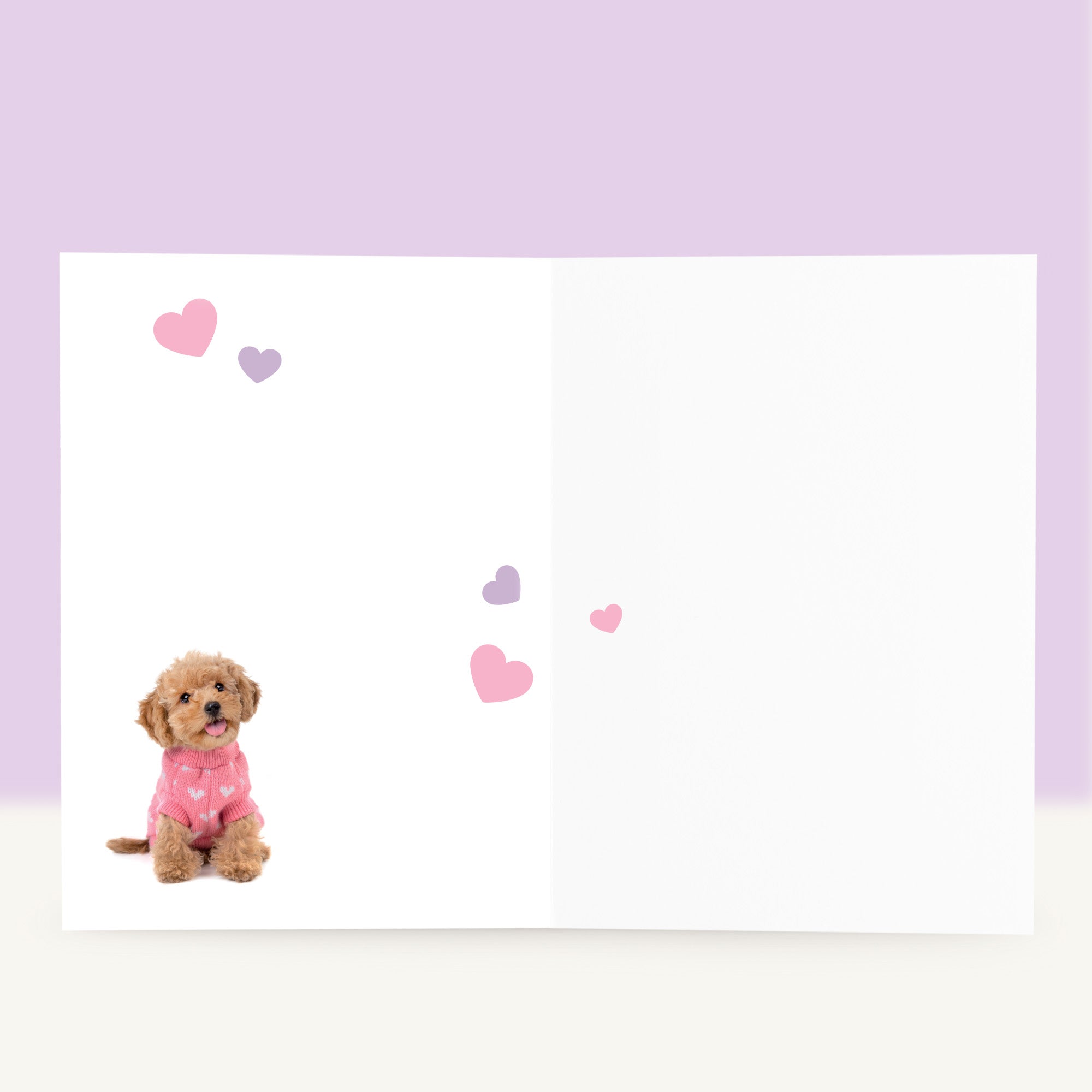 Puppy Verjaardagskaart - Cookie de Toy Poedel
