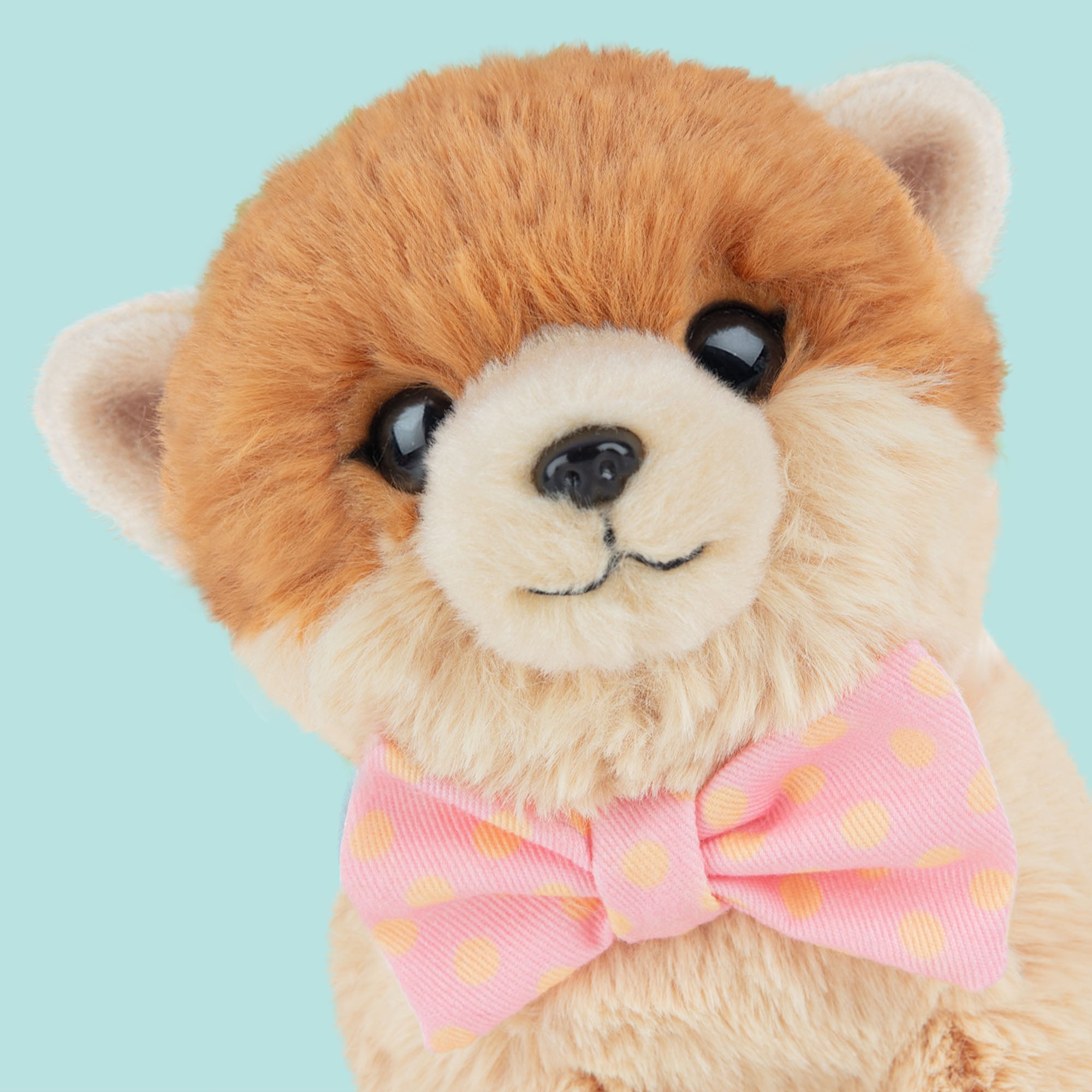 Ontmoet PomPom – Onze Pomeriaan Knuffel van 16 cm