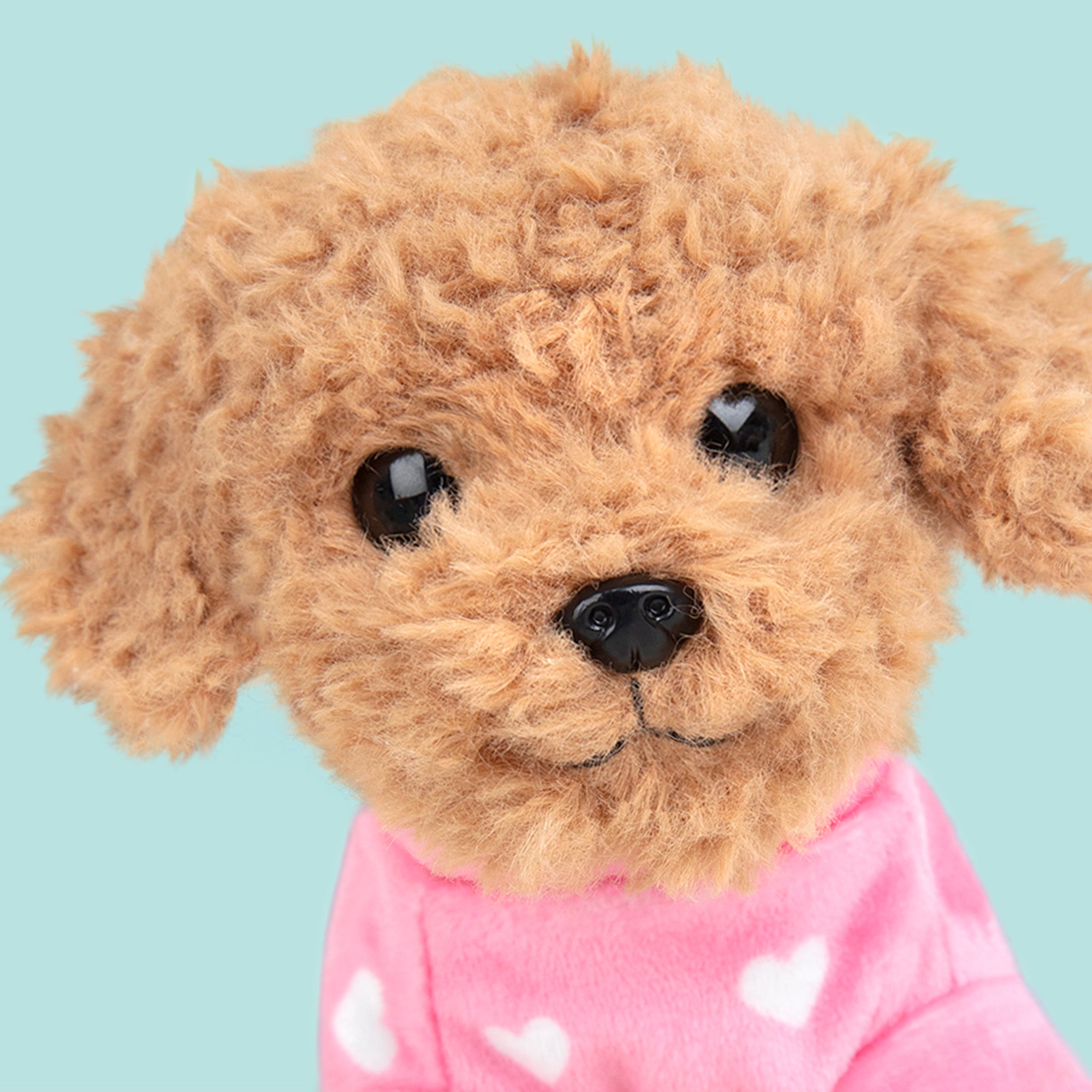 Ontmoet Cookie – Onze Toy Poedel Knuffel van 16 cm