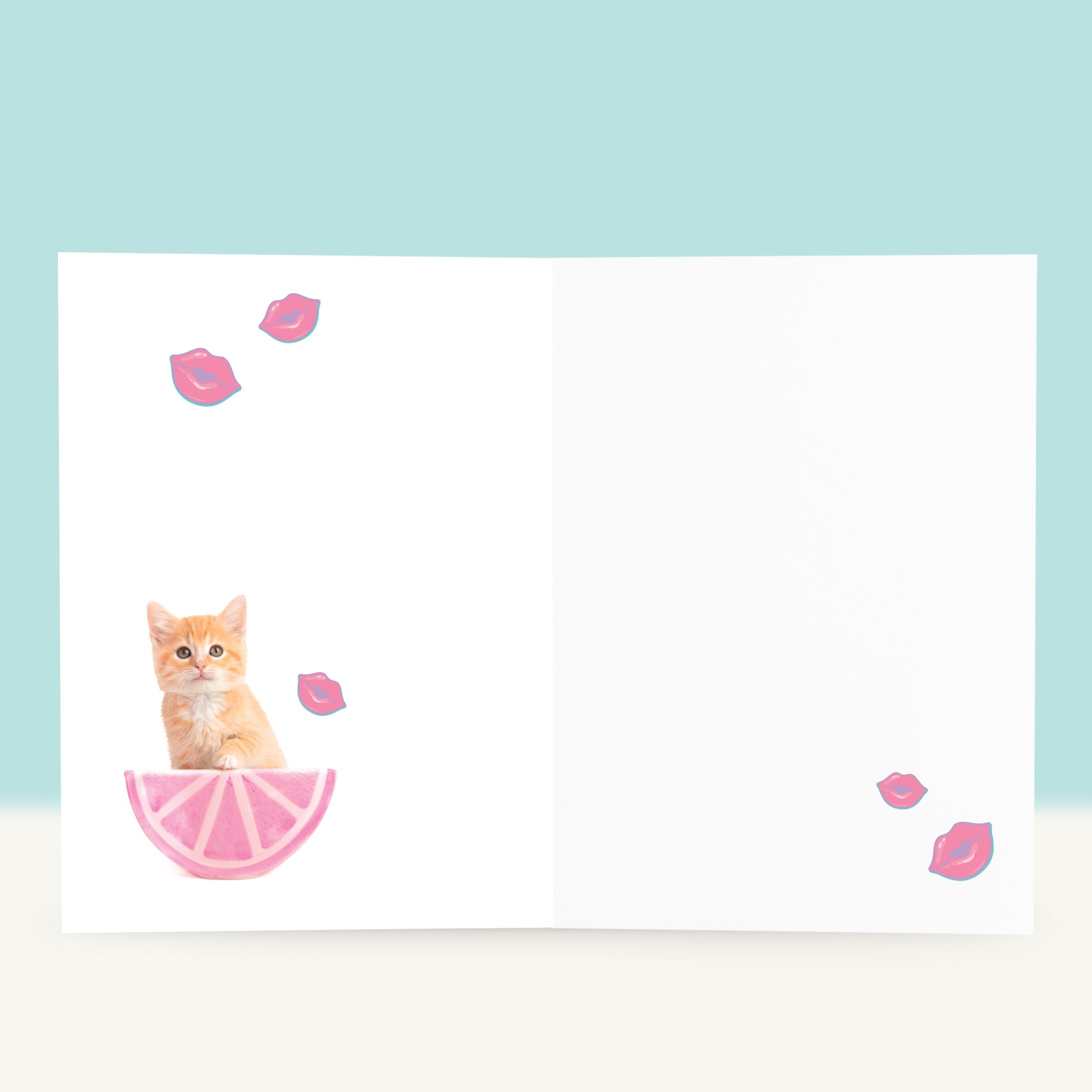 Verjaardagskaart “XOXO” met Tommy het rode kitten