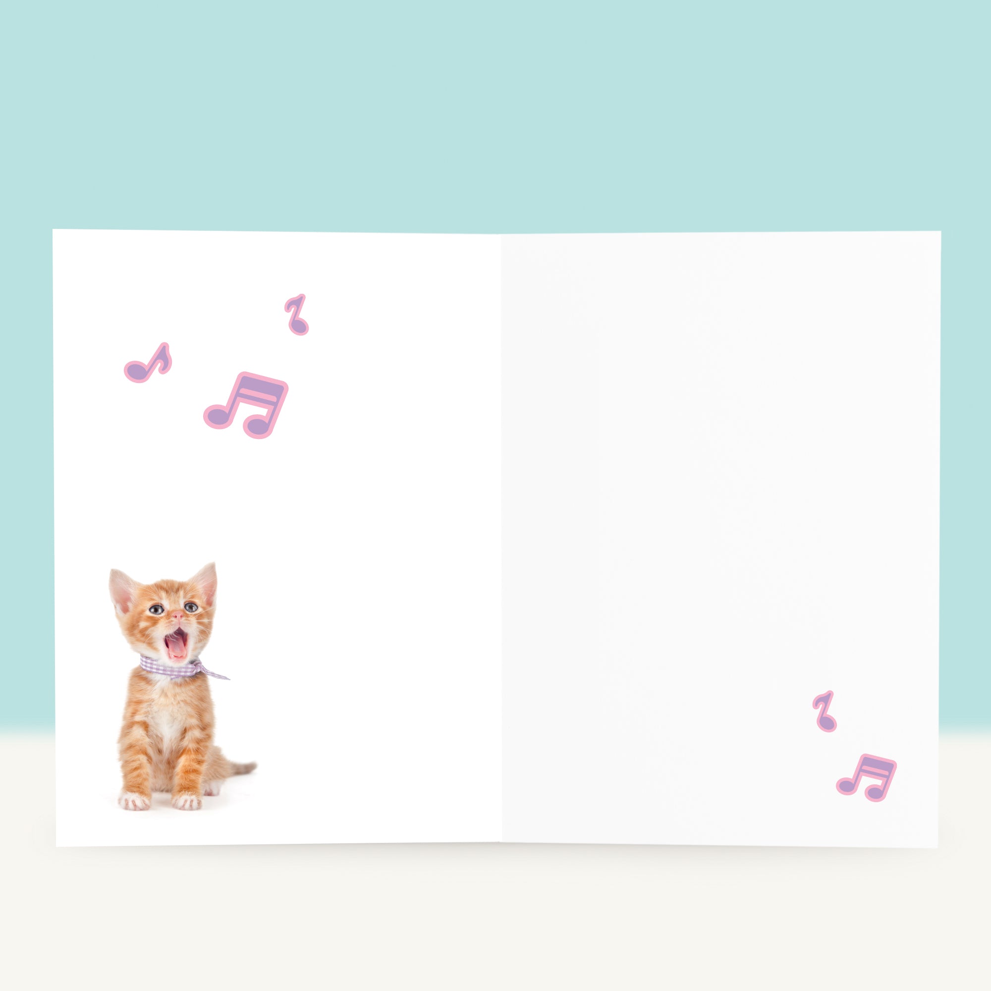 Wenskaart “Yeah! Let's Party” met Britse Korthaar kitten